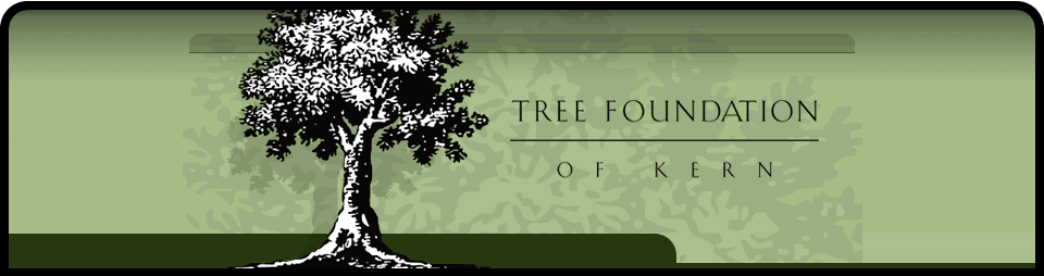 Tree Foundation of Kern