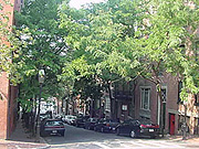 streetTrees: